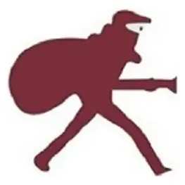 Falco Alarm brand logo for falcoalarm.net