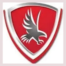 Falcon Insurance Group brand logo for falconinsgroup.com