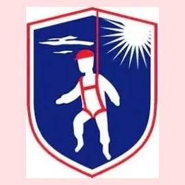 Fall Protection USA brand logo for fallprotectionusa.com
