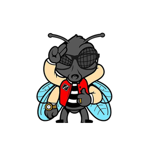 Fashionably Fly brand logo for fashionablyflyclothing.com