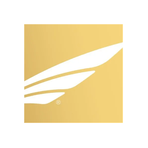 Fast Private Jet brand logo for fastprivatejet.com