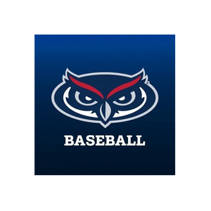 FAU Sports brand logo for fausports.com