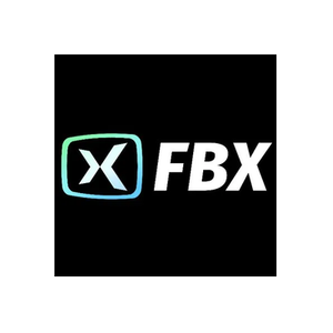 FBX brand logo for fbx.gg