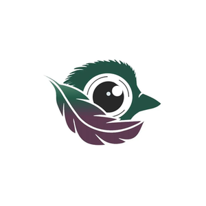 Feathers Nap Cam brand logo for feathersnapcam.com