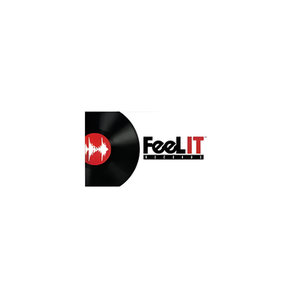 Feel It Records brand logo for feelitrecords.com
