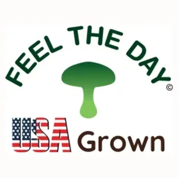 feeltheday brand logo for feeltheday.com