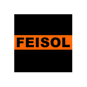 Feisol brand logo for feisol.net