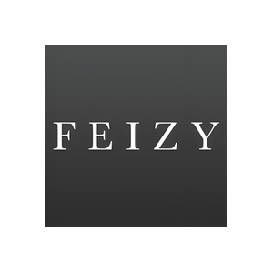 Feizy brand logo for feizy.com