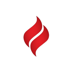Feld Fire brand logo for feldfire.com