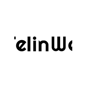Felinwel brand logo for felinwel.com