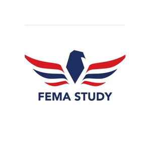 FEMA Test Answer brand logo for fematestanswer.com