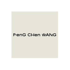 Feng Chen Wang brand logo for fengchenwang.com