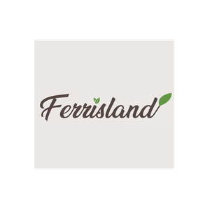 Ferris Land brand logo for ferrisland.com