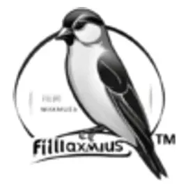 filliaxmius brand logo for filliaxmius.com