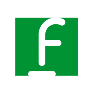 Findomestic brand logo for findomestic.it