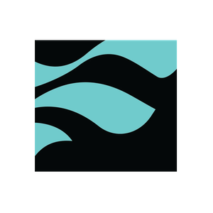 Finn's Beach Club brand logo for finnsbeachclub.com