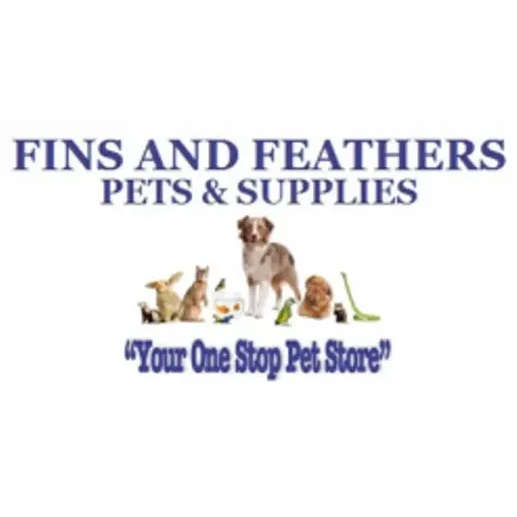 Fins and Feathers brand logo for finsandfeatherspa.com