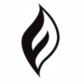 Fire & Flavor brand logo for fireandflavor.com
