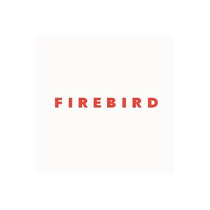 Firebird Kids brand logo for firebirdkids.com