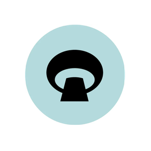 First Person brand logo for getfirstperson.com