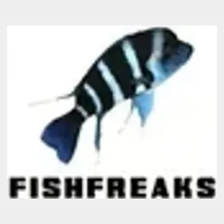 Fish Freaks brand logo for fishfreakscichlids.com