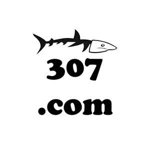 Fish307 brand logo for fish307.com