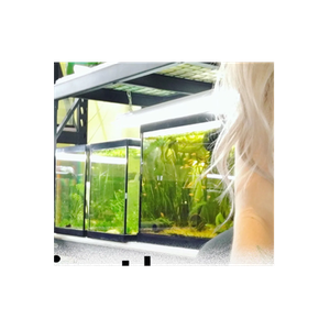 Fishiotherapy brand logo for fishiotherapy.ca