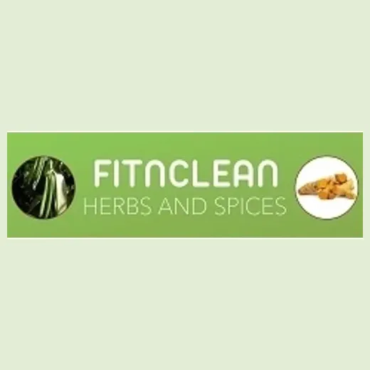 Fit N Clean brand logo for fitncleanvanilla.com