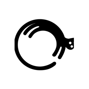 Fit 'n' Fun brand logo for fitnfuncatwheel.com