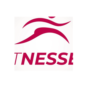 Fitness Eshop brand logo for fitnesseeshop.com