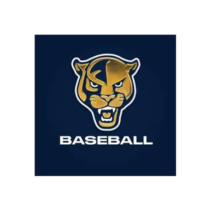 FIU Sports brand logo for fiusports.com
