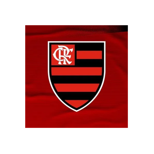 Flamengo brand logo for flamengo.com.br
