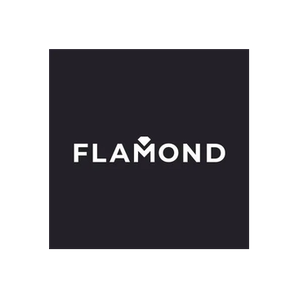 Flamond brand logo for flamond.com