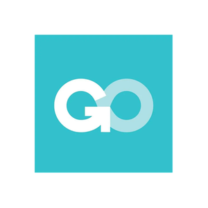 Fleet Go brand logo for fleetgo.com