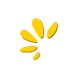 Fleurance Nature brand logo for fleurancenature.com
