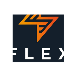 Flex Electric brand logo for flexelectric.co.uk