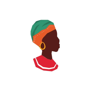 Flexi Africa brand logo for flexiafrica.com