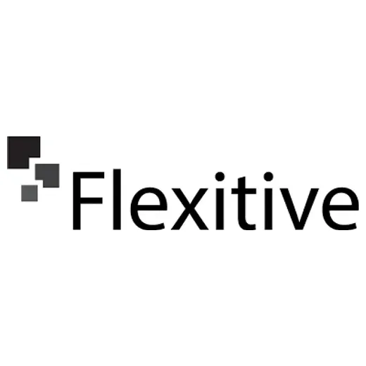 Flexitive brand logo for flexitive.com