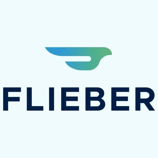 Flieber brand logo for flieber.com