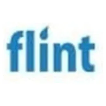 Flint brand logo for flint.com