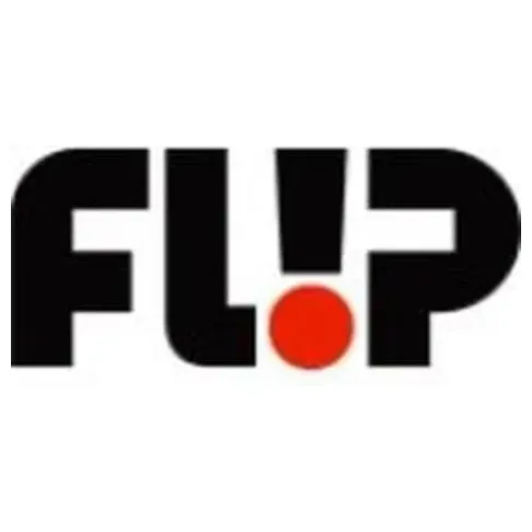 Flip Skateboards brand logo for flipskateboards.com