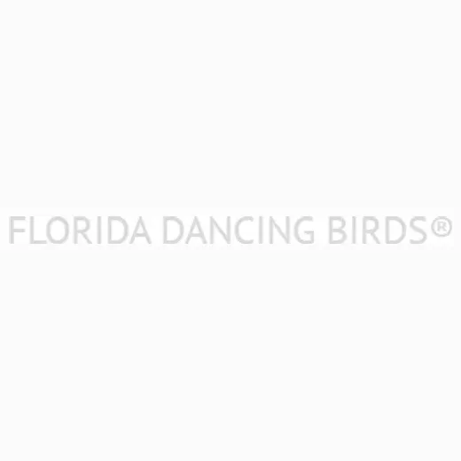 Florida Dancing Birds brand logo for floridadancingbirds.com