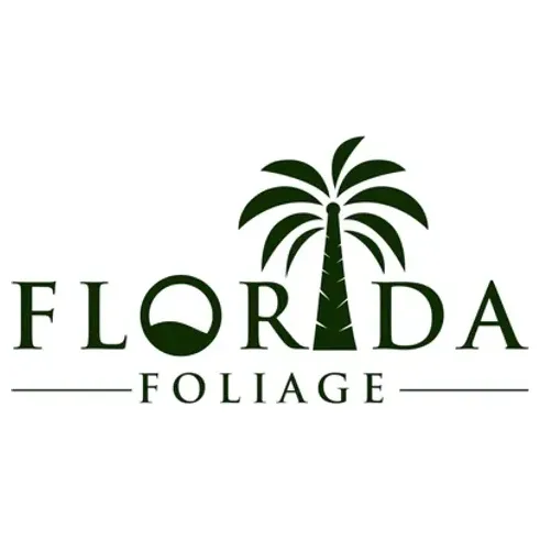 Florida Foliage brand logo for floridafoliage.store