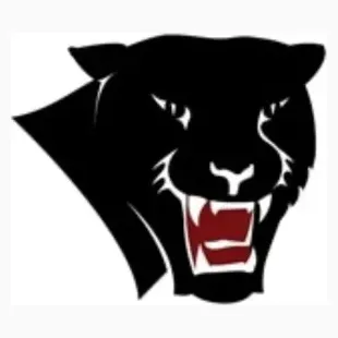 Florida Tech Sports brand logo for floridatechsports.com