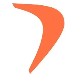 Flowace brand logo for flowace.ai