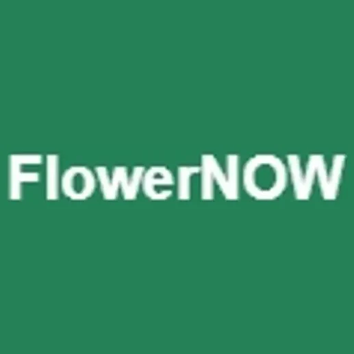 Flower Now brand logo for flowernow.com