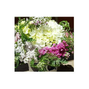Flowers from Gan Eden brand logo for flowersfromganeden.com.au