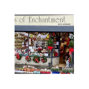 Flowers of Enchantment brand logo for flowersofenchantment.co.uk