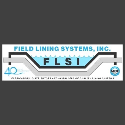 FLSI brand logo for flsi.us
