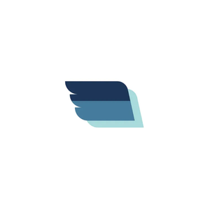 Fly Gaggle brand logo for flygaggle.com